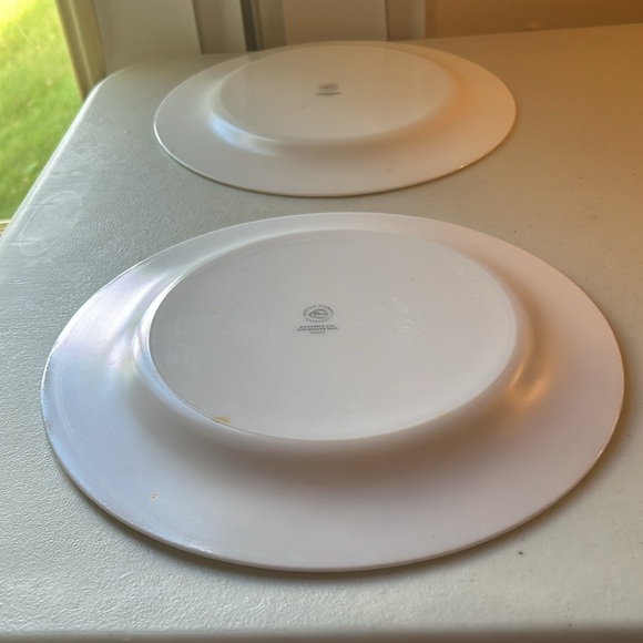 Martha Stewart Everyday 10.5” Vitrelle Floral Set of 2 Plates - Picture 5 of 5